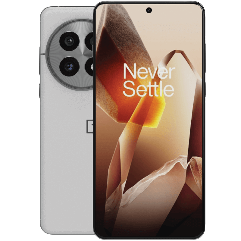 Illustrationsbild av OnePlus 13