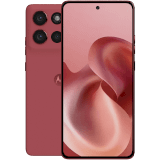 Välj färg: Chrysanthemum