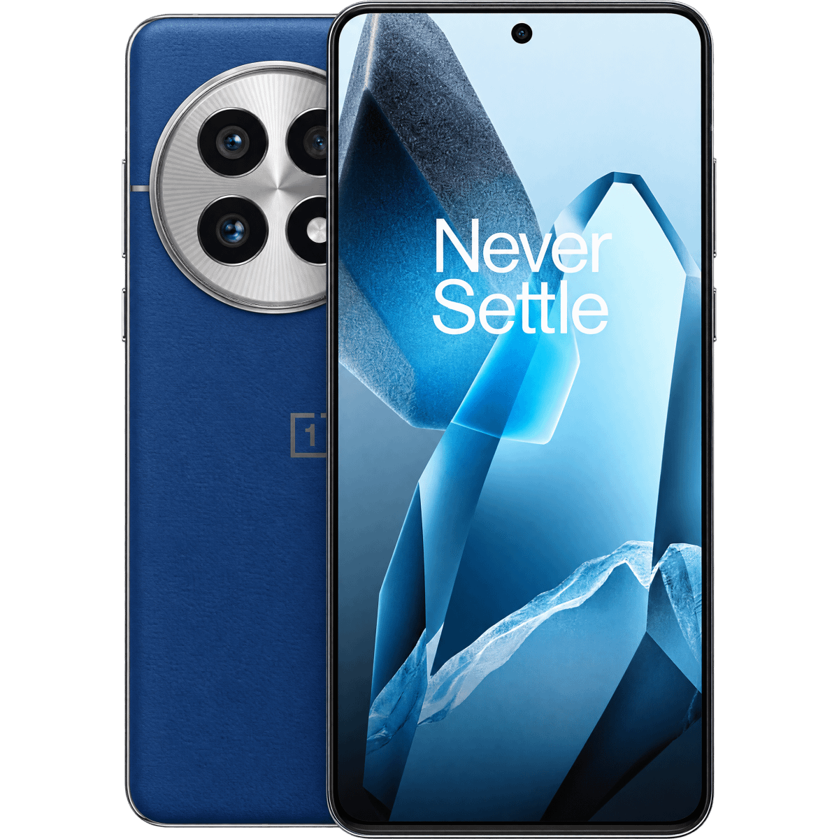 OnePlus - 13